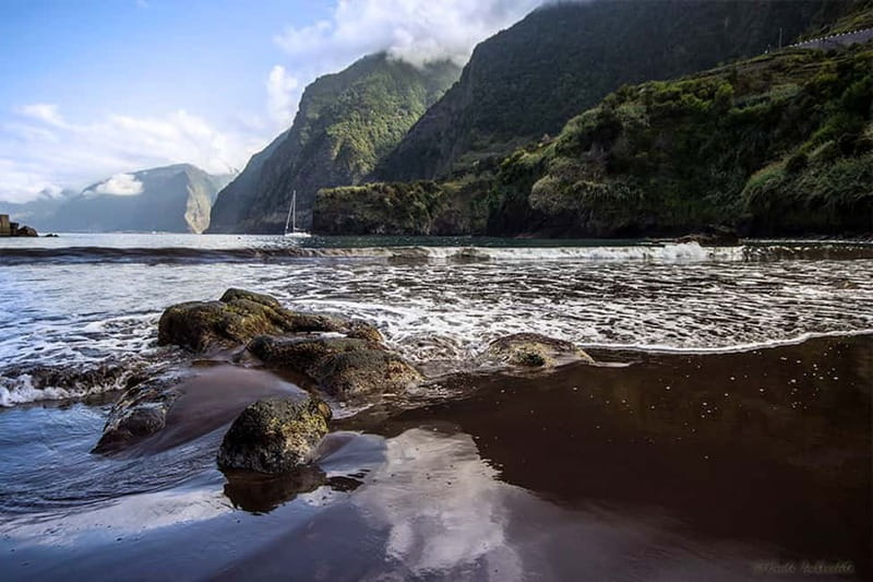 Madeira West Island Full-Day Tour with Fanal Forest - Paul da Serra and Fanal Forest: the short walk that feels bigger than it is