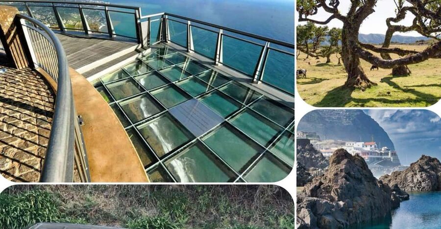 Madeira: West Tour With Guide Fanal Forest SykWalkExperience - Key Things That Make This Tour Work Well