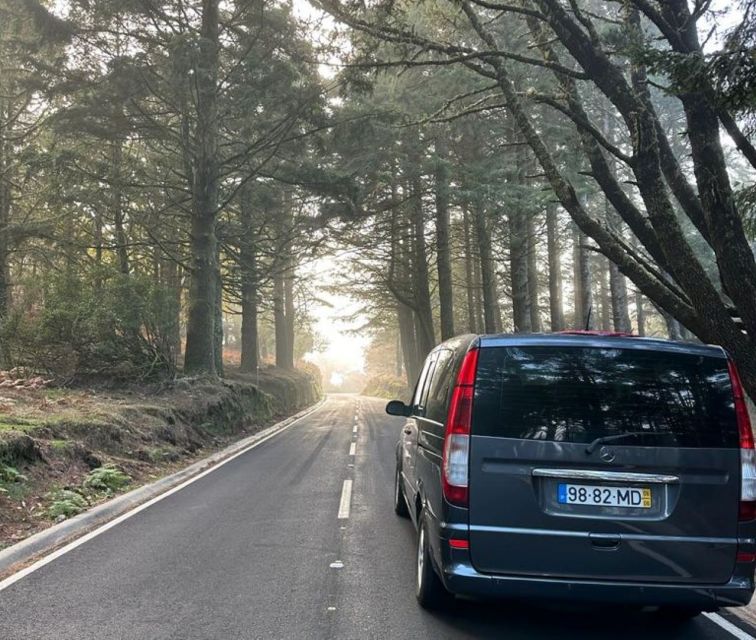 Madeira: Western Madeira Guided Trip & Fanal Mystic Forest - Into Fanal and Laurissilva: Fog Forest Walking Time