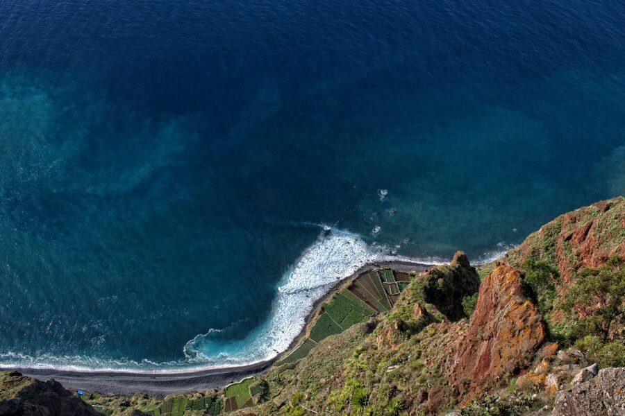 Madeira: Western Madeira Guided Trip & Fanal Mystic Forest - Porto Moniz Natural Volcanic Pools: Lunch, Swim Time, and Real Relaxing