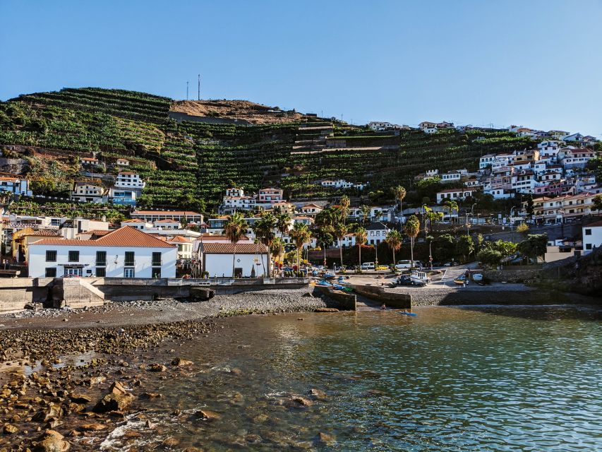 Madeira: Western Madeira Guided Trip & Fanal Mystic Forest - Guide Style Makes the Difference, Especially on a Rainy Day