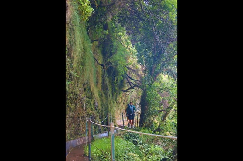 Madeira: Wet your hair in the amazing Levada Nova / Moinhos - Who This Tour Fits Best, and Who Should Rethink It