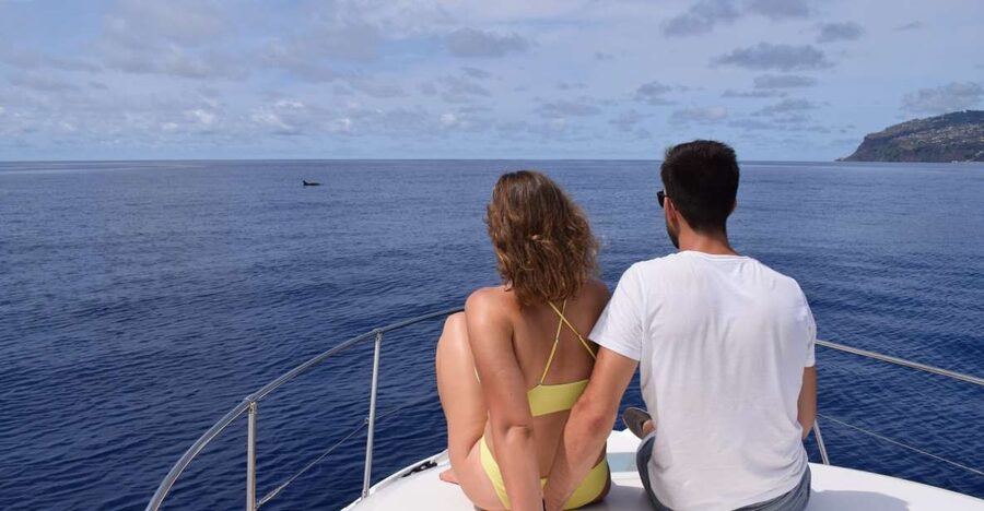 Madeira: Whale and Dolphin Watching Private Cruise - Entering the experience at Marina da Calheta
