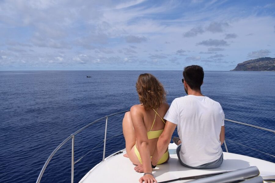 Madeira: Whale and Dolphin Watching Private Cruise - How the route keeps things interesting