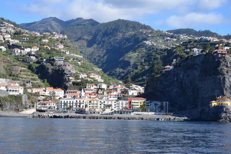 Madeira: Whale and Dolphin Watching Private Cruise - Price and value: Is $577 per group worth it?