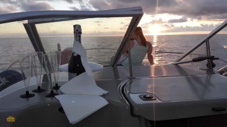 Madeira: Whale and Dolphin Watching Private Cruise - Private yacht comfort, real room to spread out