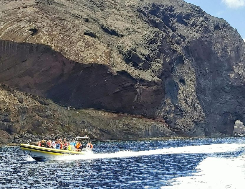 Madeira: Whale and Dolphin Watching Tour - The Marine Biologist Guide: What You Actually Gain