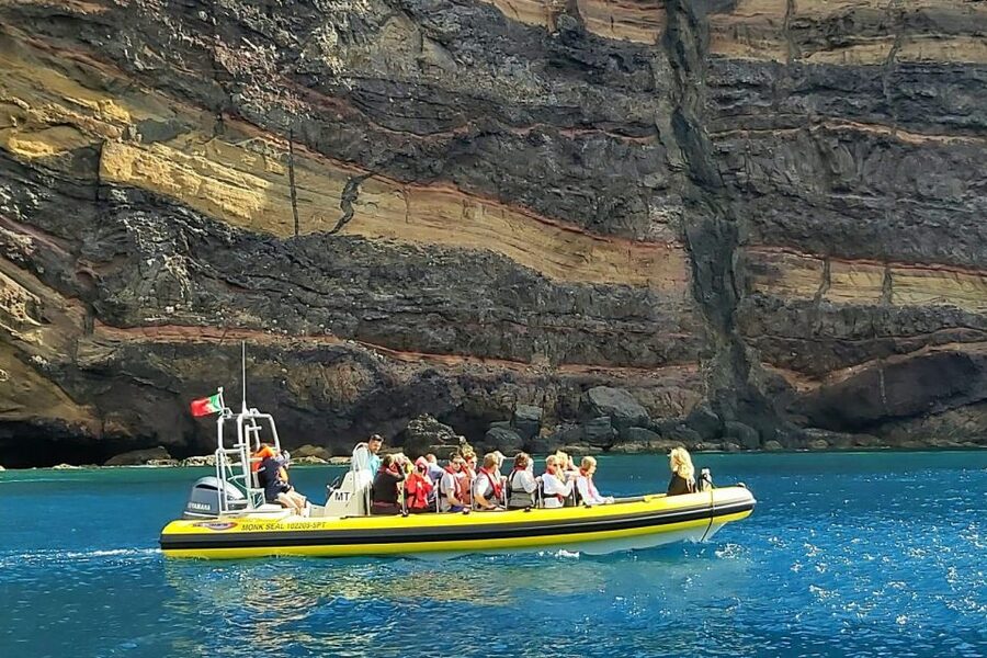 Madeira: Whale and Dolphin Watching Tour - Price and Value: Is $70 Worth It?