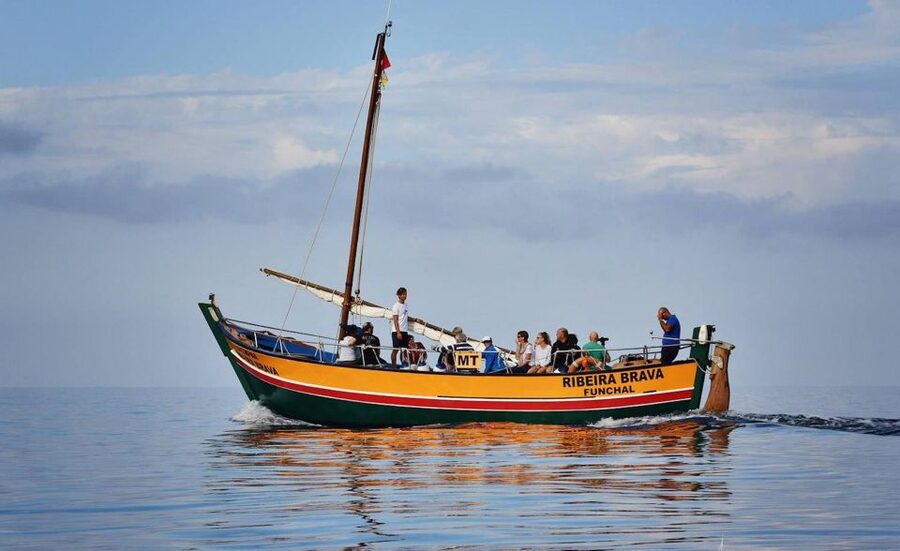 Madeira: Whale Watching Excursion in a Traditional Vessel - Price and value at $53 for a 2.5-hour excursion