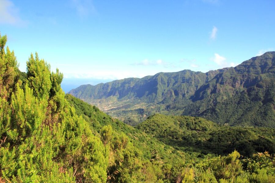 Madeira: Wine Safari Jeep Tour with Local Guide - From Funchal hotel pickup to Ribeira Brava’s ocean views
