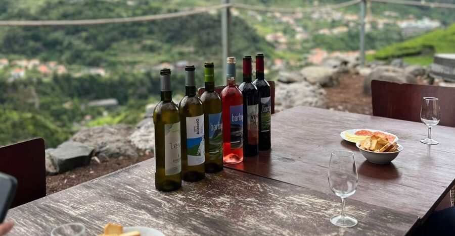 Madeira: Wine Tasting Guided Tour, Jeep Safari, & Viewpoints - Key highlights you will actually care about