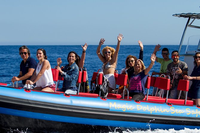 Magic Dolphin Sea Safaris - Speedboat Safari From Funchal Marina, Not a Slow Cruise