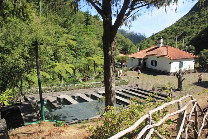 Magnificent East Tour - Ponta de São Lourenço: why a guide helps on this rugged edge
