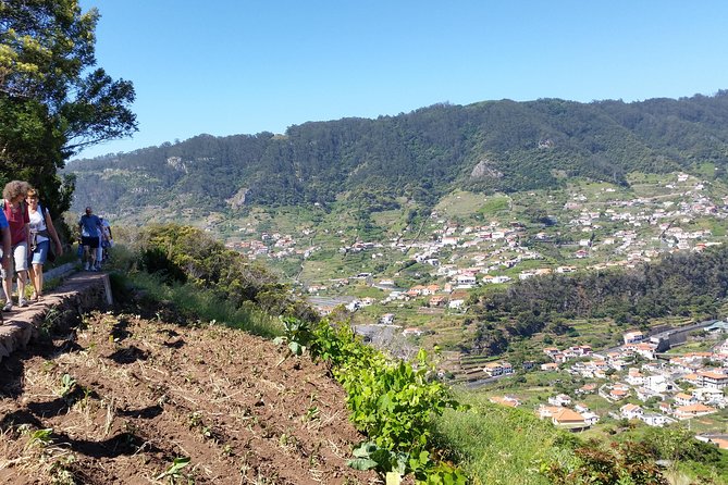 Maroços - Mimosa Valley - Key things to know before you go