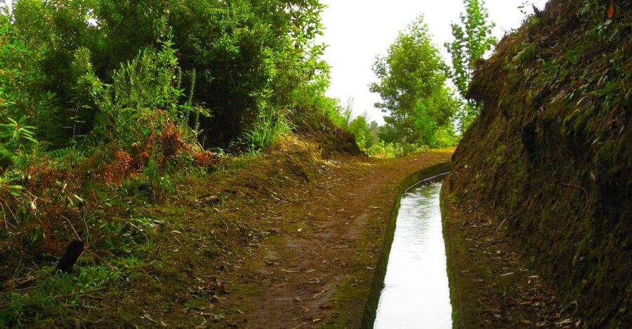 Maroços / Mimosa Valley - Levada Walk - Key Things I’d Prioritize Before You Go