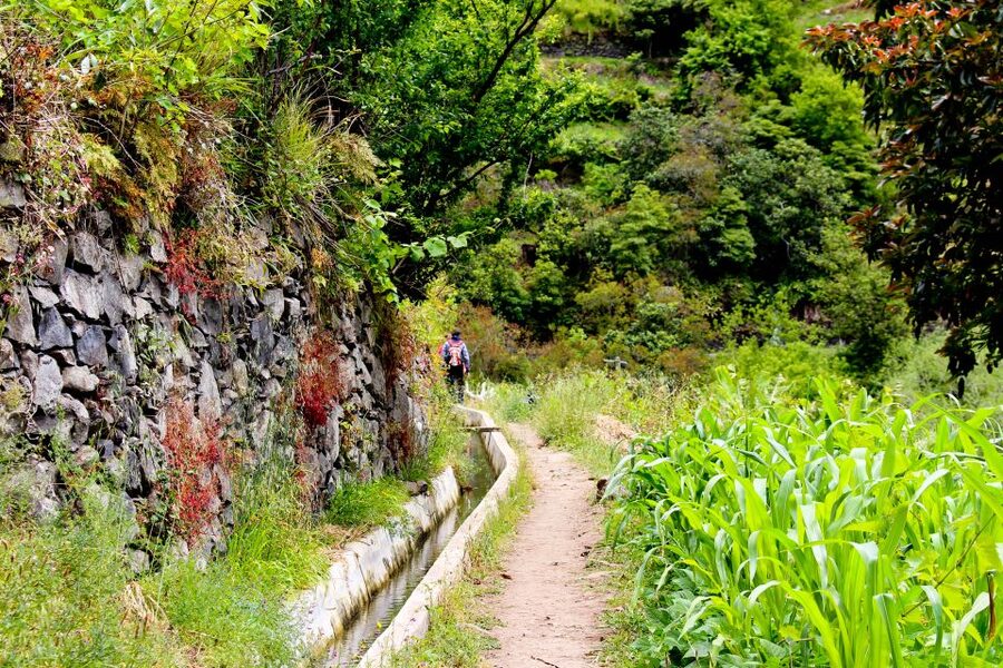 Maroços / Mimosa Valley - Levada Walk - Who This Levada Walk Is Best For