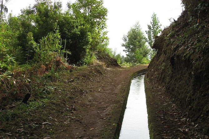 Maroços Mimosa Valley Levada Walk from Funchal - Key things to know before you go
