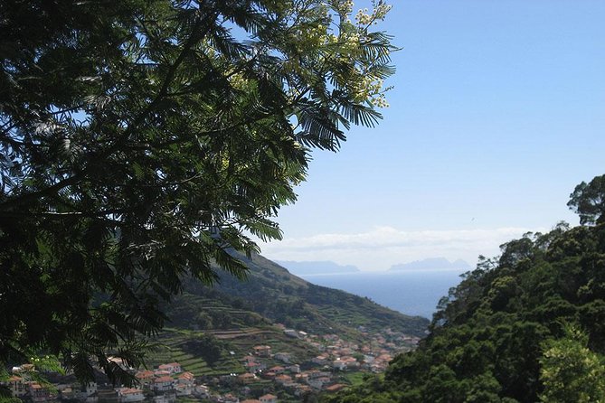 Maroços Mimosa Valley Levada Walk from Funchal - Getting there from Funchal: pickup that keeps your morning stress low
