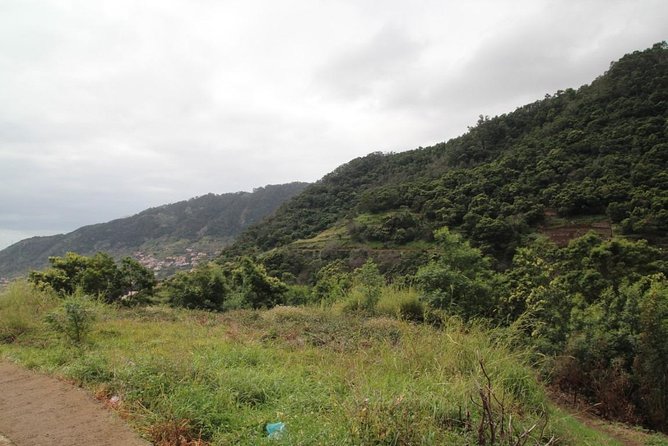 Maroços - Vale das Mimosas (Half Day Walk) - Key points you will care about