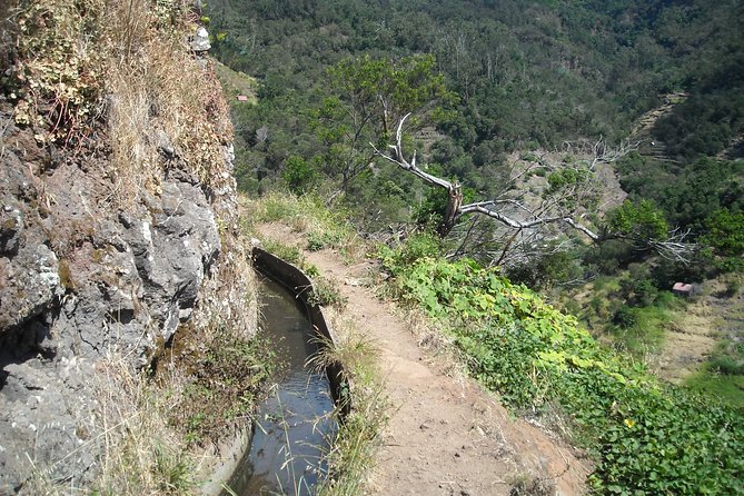 Maroços - Vale das Mimosas (Half Day Walk) - Into Machico’s Vale das Mimosas, by a maintained levada path