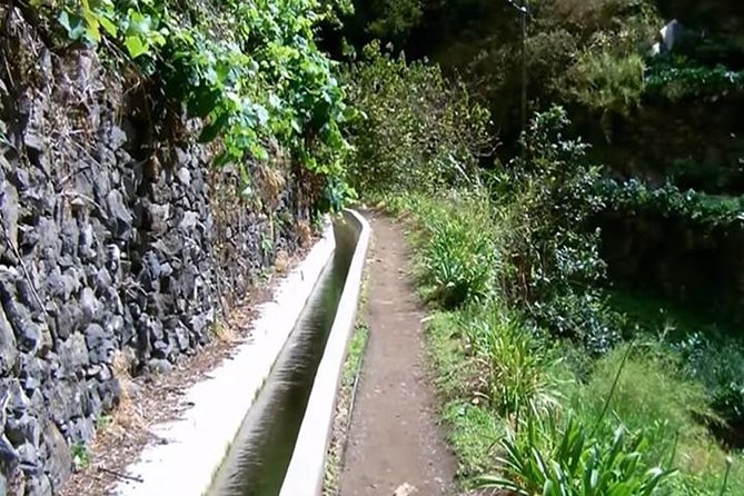 Mimosa Valley Walk - Key Highlights I’d Plan Around