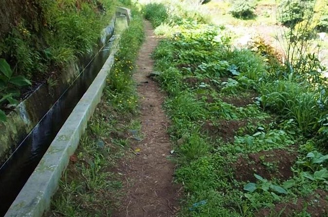 Mimosa Valley Walk - The Levada Walk Itself: Views, Houses, and Farmers at Work