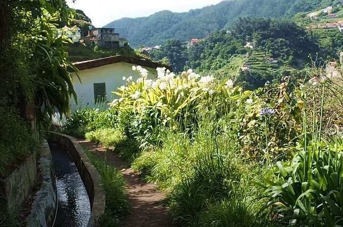 Mimosa Valley Walk - How a Levada Works, Explained as You Walk