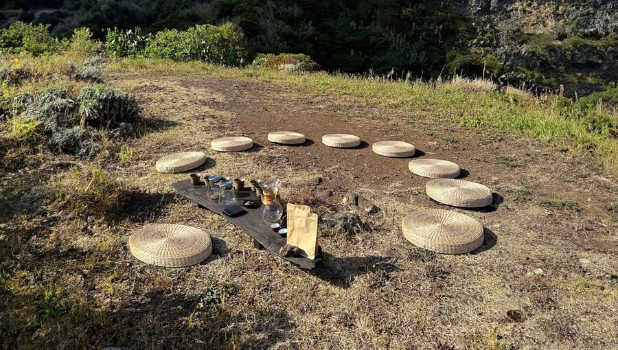 Mindful Tea Ceremony in Hidden Nature of Madeira - Price of $35 for 1.5 hours: what you’re really paying for