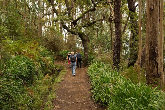 Mini -Combo East Challenge (Jeep & Levada Walk)- Shared Tour - Why this Jeep plus levada combo is such a smart Madeira east-side choice