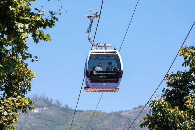 Monte Palace Tropical Garden tour with Cable Car - Getting to Monte Palace: pickup, timing, and group size