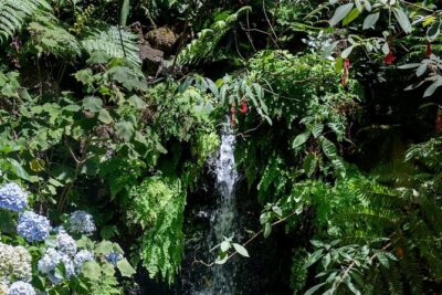 Monte Palace Tropical Garden tour with Cable Car