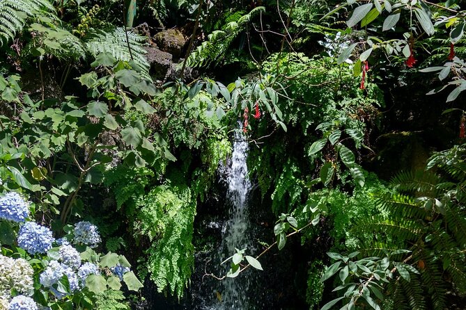 Monte Palace Tropical Garden tour with Cable Car - Monte Palace Tropical Garden: where the walking feels worth it