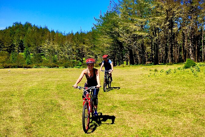 Mountain Biking Tour - Beginner Easy - The Lunch Stop in the Laurel Zone: Fuel Without Forcing It