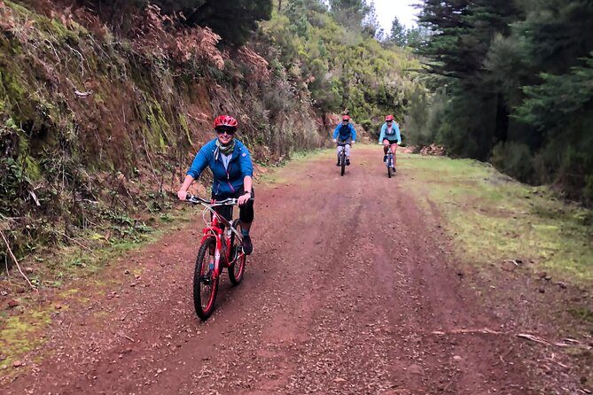 Mountain Biking Tour - Beginner Easy - Levada Trails Toward Camacha: Riding Where Cars Can’t
