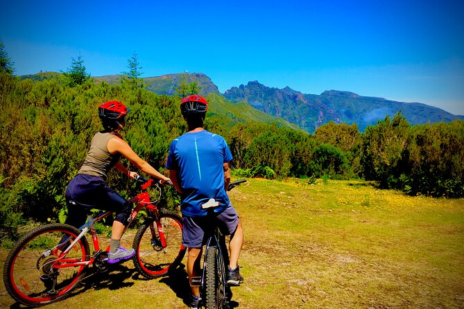 Mountain Biking Tour - Beginner Easy - What “Beginner Easy” Means on a Hardtail Bike