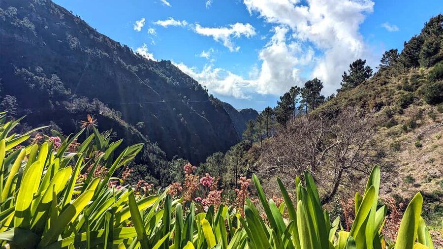 Mountain Wonders: The Nuns Valley Half-day Private Jeep - Vereda do Urzal Stop: Pico do Gato and Working Terraces