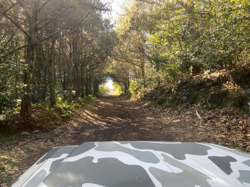 North-East Madeira Jeep Safari nature Lovers Open Roof Jeeps - Price and value: is $86 a good deal for this 8-hour jeep safari?