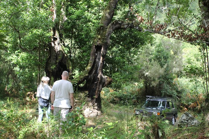 North Tour & Wine Tasting - 4x4 (Small Groups) - The Short In-Between Stops: Ilha, Crossing Points, and Time to Breathe