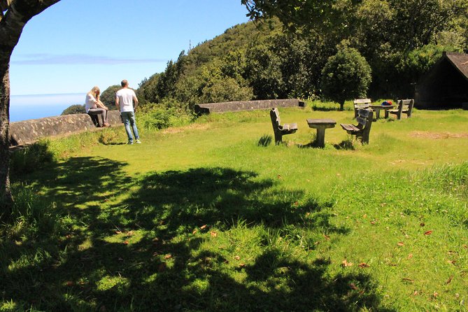 Northeast Santana Traditional Houses 4x4 Safari Full-Day Tour - Who this Northeast Madeira tour suits best