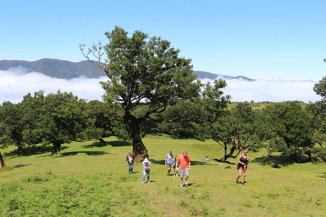 Northwest Terraces and Volcanic Pools 4x4 Full Day Tour - São Vicente, Ginjas, and the North Side Mood Shift