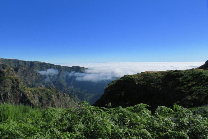 Nun's Valley Open 4X4 Tour - Stop 5: The Valley of the Nuns, isolation, and chestnut life