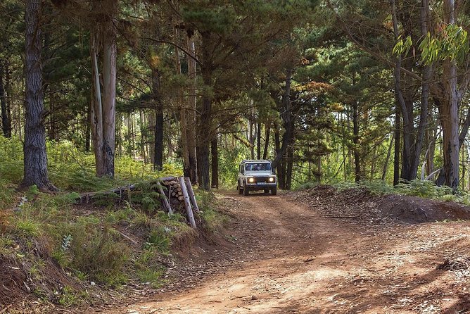 Nun's Valley & Sea Cliff - Half Day - Shared Tour - Price and Value: Is $56.47 a Good Deal?