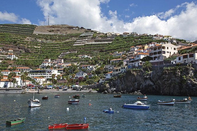 Nun's Valley & Sea Cliff - Half Day - Shared Tour - From Madeira Viticulture to Nuns Valley (Curral das Freiras)