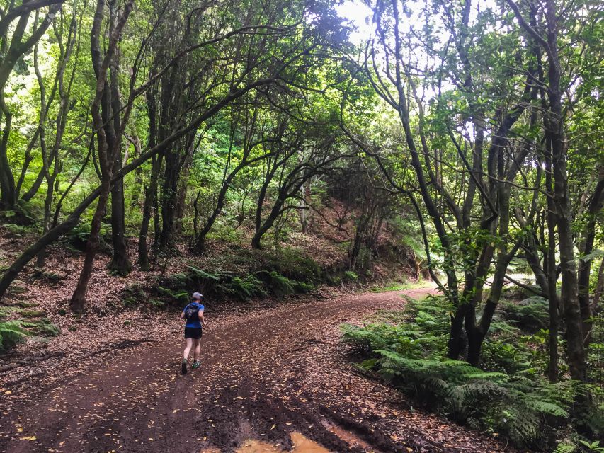 Ocean to Mountain Running Tour - Who this tour fits best, and who might look elsewhere