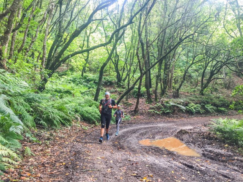 Ocean to Mountain Running Tour - Getting picked up in Funchal, then warming up the right way