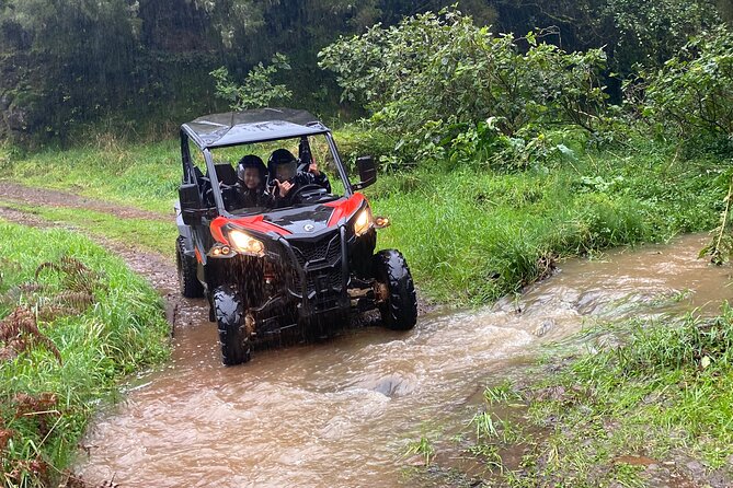 Off-Road Buggy Driving Experience - The Mud Factor: What to Expect on Bumpy Trails