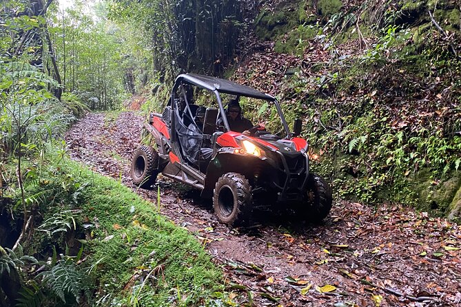 Off-Road Buggy Driving Experience - Weather, Safety, and When to Hold Back