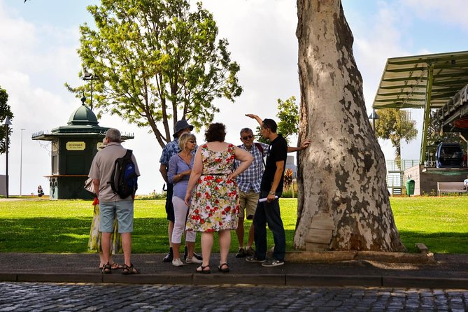 Old Funchal Walking Tour - Price and Logistics That Matter for Real Planning