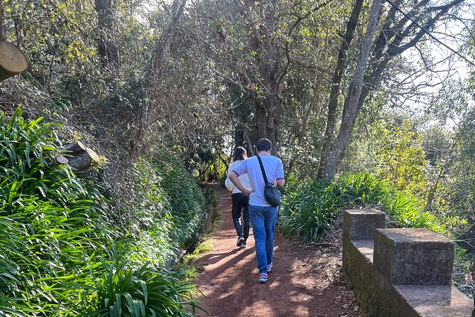 On the Rhythm of a Levada Walk: Madeira cider tasting and lunch - Timing, Group Size, and How the Pacing Really Feels