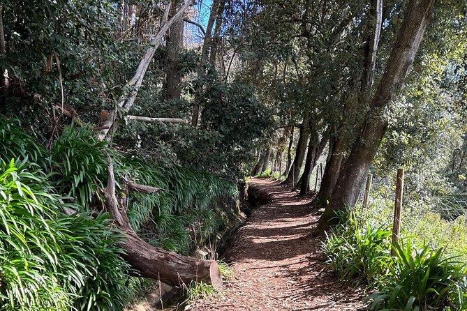 On the Rhythm of a Levada Walk: Madeira cider tasting and lunch - Price and Value: Does $162.14 Cover What You Actually Get?